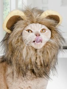 หมวกสัตว์เลี้ยง หมวกวิกผม รูปสิงโตน่ารัก หัวสิงโต หมวกแมว อุปกรณ์ปาร์ตี้แฟนซ