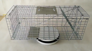 Rescue Trap Catcher Cat Caught Wild Catch Pigeon God Grab Dog Tool Cage