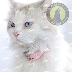 SEMPATI Kalung Kucing Ikan Piranha & Kalung Leher Kucing Anjing