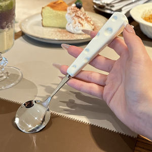 Ceramic Cheese Spoon & 304 Stainless Steel: A Comprehensive Guide