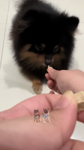 Luscious Recipe Freeze-Dried Duck Breast Treats: An Appetite Booster for Dogs & Cats