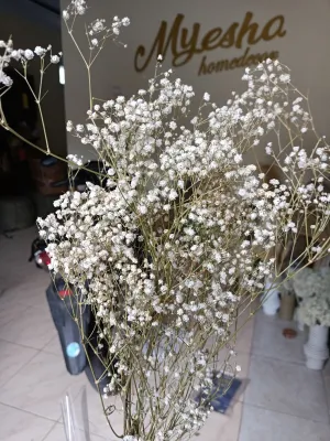 babybreath kering asli pertangkai bunga kering rustic drid flower buket