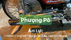 ⚡️FREESHIP⚡️ Pô dream 2543 MÓC NỈ NHỒI BÔNG cho DREAM-Cub-67-WAVE NHỎ-WAVE 50-RS-WAVE A 17-RSX 110-SIRIUS 50/110-JUPITER 50/110