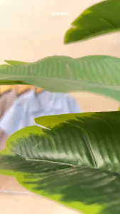 OVIKIDS Miami - Atasan Anak Laki Laki Baju Anak Laki Laki Kemeja Anak 2-8 Tahun