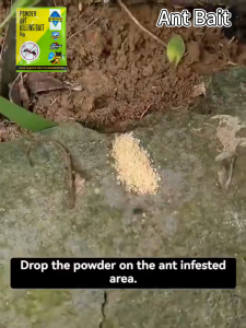 Household Cockroach Bait Killer And Ant Bait Insecticide Powder for Home Use Kitchen Indoors Outdoors Vegetable Gardens