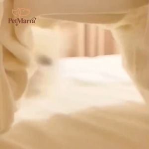 PetMarra Adult Cat & Kitten Dry Food 1kg & 7kg: All Breeds Cat Food