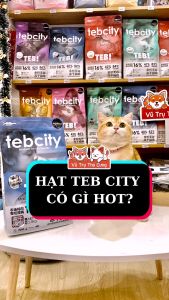 Hạt cho mèo TEB CITY mix topping siêu dinh dưỡng không ngũ cốc - Bịch 15Kg / 500g