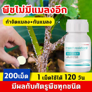 เม็ดใช้ได้ 120 วัน - Hydra ยาเชื้อรา พืช 40g (200 เม็ด) ฆ่าแมลงเท่านั้น ไม่ทำร้ายพืช กำจัดแมลงได้กว้างขวาง เพลี้ยไฟ แมลงหวี่ขาว ยาฆ่าเพลี้ย ยาเพลี้ย ยากำจัดแมลงพืช สารกำจัดแมลง ยาฆ่าเพลี้ยแป้ง ยาฆ่าเพลี้ยอ่อน ยาฆ่าแมลงกินใบ