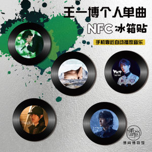 Bộ Sưu Tập Biji One Shao Black Vinyl Album Music Magnetic NFC Fridge Magnet Collectible Star Role Wang Yibo Stock Now