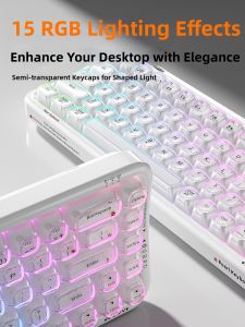 Mofii | Semi-Transparent Wireless Multi-Mode RGB Lit Keyboard