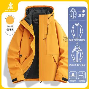 Womens Early Autumn Outdoor Fleece Jacket Windproof Traveling Climbing Super Beautiful Three-in-One Raincoat Polyester Fiber