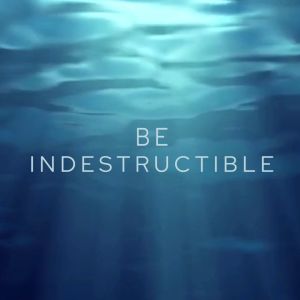 Health Fusion Sea Moss ELITE #BetterThanBarley Complete Superfood Overall Health for Detox Glowing Skin Immunity & Thyroid Support | Sugar-free 60s