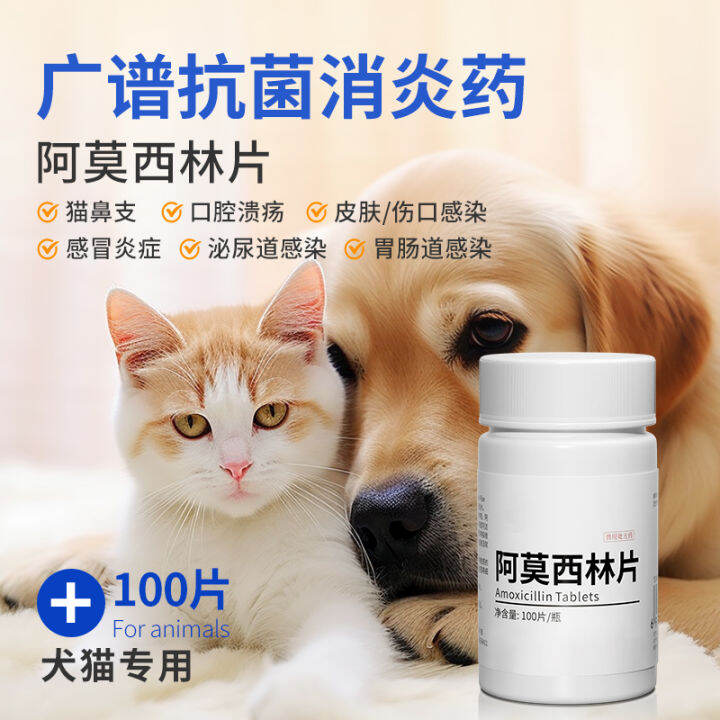 Amoxicillin Cat Cough Medicine Runny Nose Dog Cough Cat Nasal Branch ...