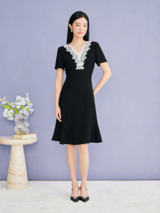 YINER | Elegant Lace Trim V-Neck Vinegar Fiber Blend Waist-cinching Dress