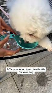 Spherical Plastic Pet Water Bottle Portable Dog Cat Travel Drinking Cup Outdoor Walking Puppy Water