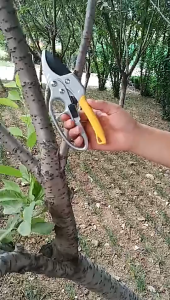 Gunting Alat Pemangkas Berkebun Heavy Duty Pruners Scissors Ratchet Hand Pruner with Ratcheting Garden Hand Tool Clippers Gardening Pruners Tools
