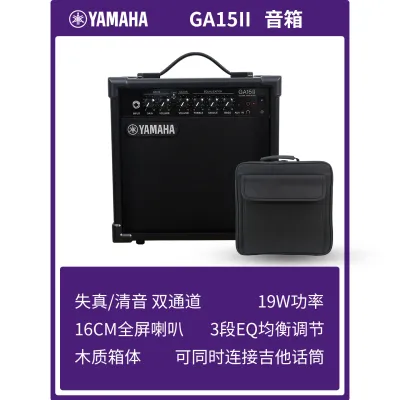 Guitar Amp for Electric Guitars and Bass T10II/T30