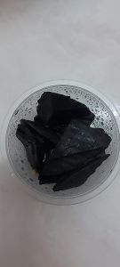 Clear Culvtivated Springtail With No Contamination 100% Charcoal Cultivated