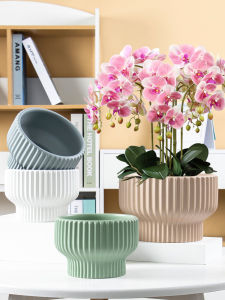 Ceramic Flower Pot Factory Direct Sales Minimalist Affordable Luxury Style Butterfly Orchid Special Flower Pot Tulip Large Flower Pot Fancy