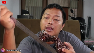 SHIFT KNOB MOTIF COBRA LILIT MINI GOLD / SHIFT KNOB / TUAS PERSNELING MOBIL DIESEL