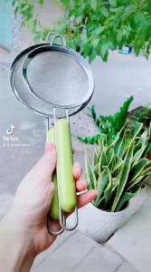 Ray lọc-lọc cháo - lọc nước cốt dừa inox cán nhựa xanh