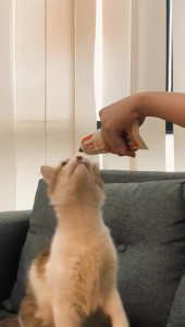 MGP Multivitamin gel plus crystal care 120ml suplemen kucing anjing