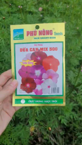 [VTNN TIEN KHOA ] 2 gói hạt giống Phú Nông Hoa Dừa Cạn Mix siêu bông gói 10 hạt dễ trồng