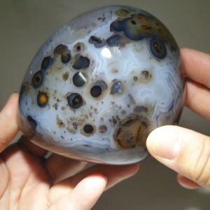 Aquatic Plant Agate Ornaments / Dendritic Agate Ornaments /水草花玛瑙摆件 / 树枝状玛瑙摆件