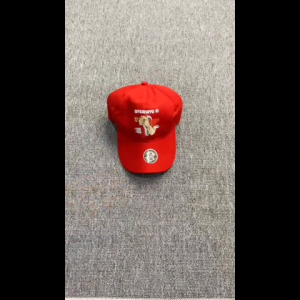 Topi Anak Laki Laki/ Perempuan Usia 2-10 Tahun Karakter 17 Agustus Topi kemerdekaan