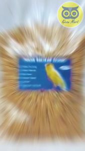KICAU MART Milet Campur Pakan Racikan Kenari 500gr Lengkap Komplit Milet Kuning Merah Biji Sawi Kenari Seed Gabah Rempah Pakan Harian Burung Kenari Finch Blackthroat Siskin