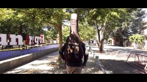 Zorc Official - Max Black | Gigbag | Tas Gitar Akustik Jumbo All Size