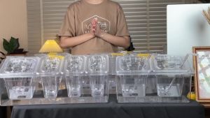 ชั้นวาง ช้อนฟรี พลาสติก ถาดใส อาหาร ขนม คลิก เพื่อช่วยในการถาดใส่ทั้ง ถาดพลาสติก ถาดใส่อาหาร ถาดใส่ไข่มูก ถาดใสใส่ขนม ถาดหลุมใส่อาหาร ถาดอะคลิลิค อ่างอาหาร พลาสติก PC ใส Food Grade จัดส่งจากประเทศไทย