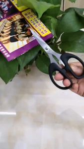 Black small Scissors Stainless Steel Household Tailors shear DIY Office School Supplies Stationery