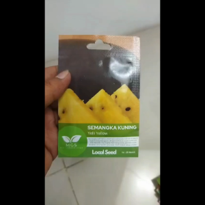 Benih Biji Bibit Semangka Kuning Yelli Yellow Mix Garden Seed - 1 Pcs