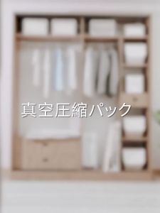 Vacuum Compression Bag Thickening Large Capacity Travel Clothes Storage Beg Simpanan Vakum 真空 衣物储物袋