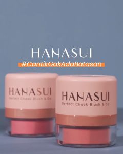 Hanasui Perfect Cheek Blush & Go Powder Series | 01 Pink | 02 Peach