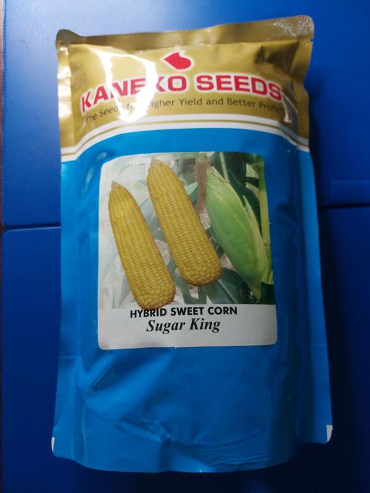 Sugar King (1 kilo) Hybrid Sweet Corn / Mais by Kaneko Seeds Lazada PH
