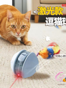 Interactive Cat Toy Feather Mouse Plush Laser Pointer Toy for Cats Anti-bite Durable Indoor Playtime Enrichment Cat Teaser Stick