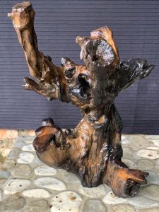 Kayu Natural Dekorasi Aquascape & Aquarium Tinggi 33 cm – Akar Unik Sudah Dipoles dan Siap Pakai