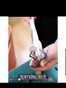 Biklin Sikat Botol Gelas Sudut Lengkung Sikat Dapur Kamar Mandi Multifungsi