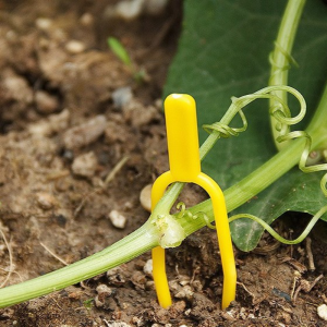 50/100/150/200 PCS plant stem fixator garden strawberry planting fork watermelon fixing fixture clamp plant bracket