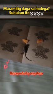 10/20/30/50Pcs Big Mouse Strong Glue Pad Sticky Mice Glue Trap Rats Board Bait TrapHousehold Rat Snake Sticky Pad for Indoor & Outdoor