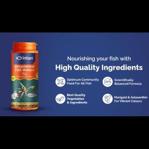 Intan - Ornamental Fish Wafers 🐠 Player Choice Fish Food For Fish Like Angels Gouramis Goldfish Barbs Rainbow