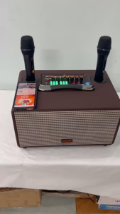 Loa Vali xách tay Bluetooth chính hãng BNIB-116Bass 16-3 Đường tiếngthùng gỗ bọc da