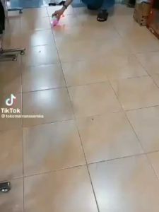 Mainan anak ikan Koi bisa berjalan & bernyanyi murah LT 37 Edukasi Ikan Bisa Nyala Ada Lampu Dan Musik Pakai Baterai Berbagai Macam Warna Dari Bahan Berkualitas Kemasan Kantong Ukuran Sedang Cocok Untuk Anak Cowok Dan Cewek