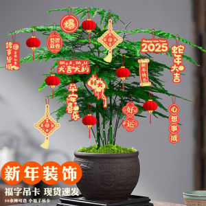Trang Trí Treo Đèn Lồng Nhỏ Cây Cảnh Rắn Năm 2025 Trang Trí Cây Xanh Màu Xanh Lá Cây Trang Trí Treo Nhỏ Xuân Năm Mới