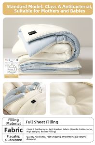 Gaorui | Warm Single Person Quilt for Spring Autumn and Winter Seasons