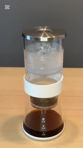 SG GossipBee Cold Extraction Set for Coffee Glass Flask Stainless Steel Filter