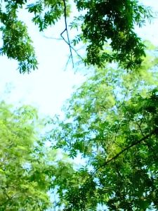 USB Rechargeable Mini Portable Neck Fan: A Must-Have Accessory for Every Outdoor Enthusiast