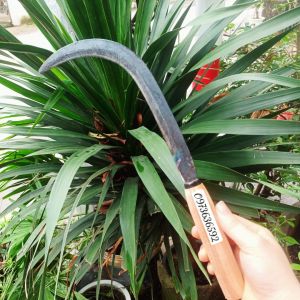 [Liềm Đóng Chấu] Liềm Gặt Lúa/Cắt Cỏ Thép Tốt Làm Thủ Công {Đóng = Tay}